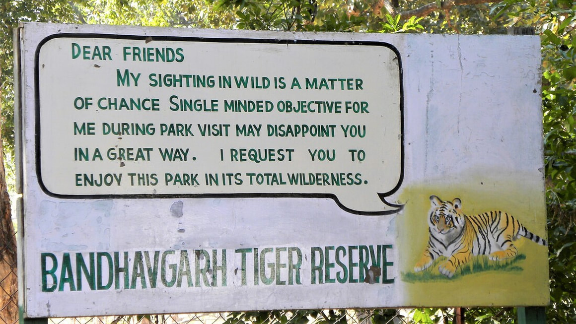Bandhavgarh National Park India